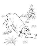 coloriage chiot machant un os